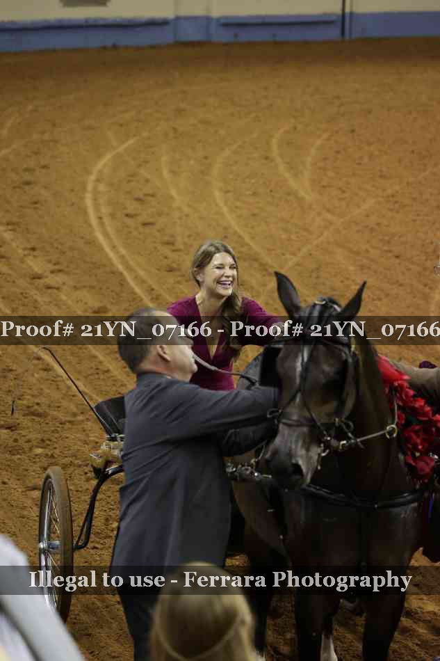 Proof 21YN_07166