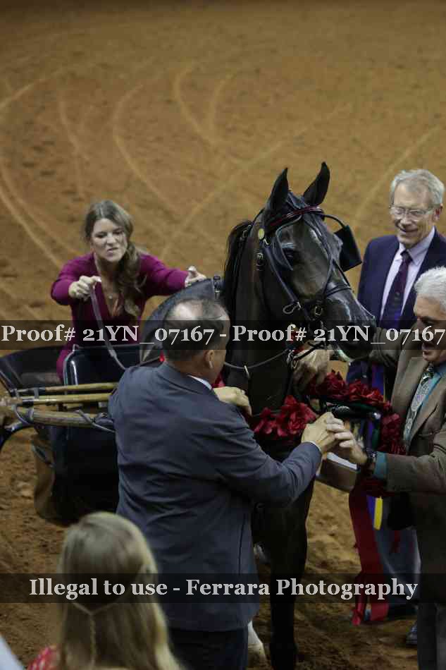 Proof 21YN_07167