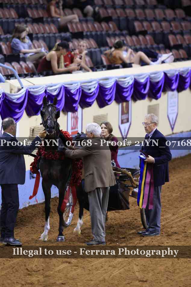 Proof 21YN_07168