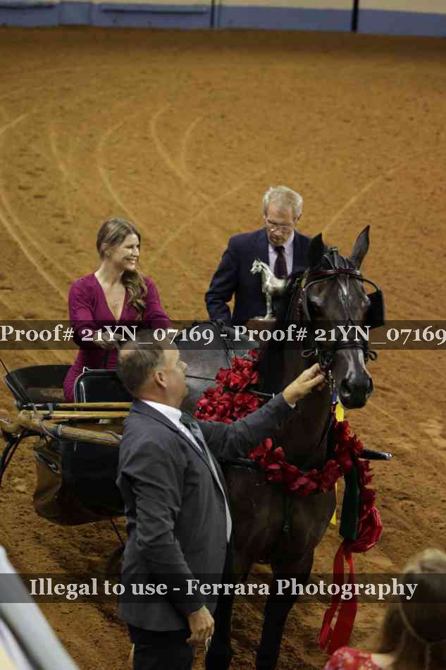 Proof 21YN_07169