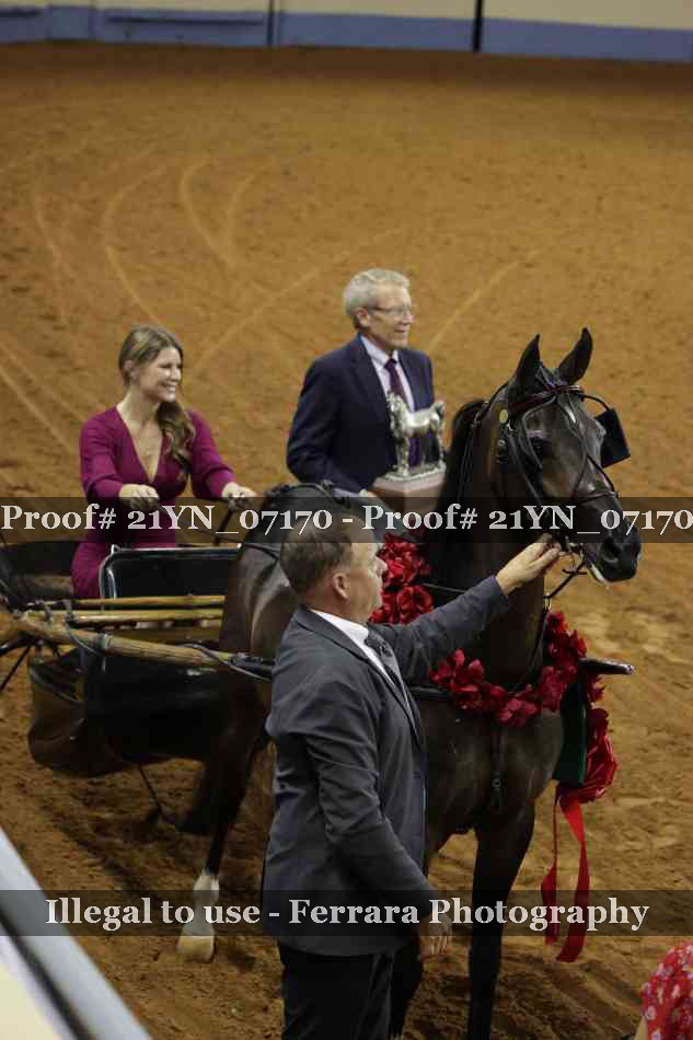 Proof 21YN_07170