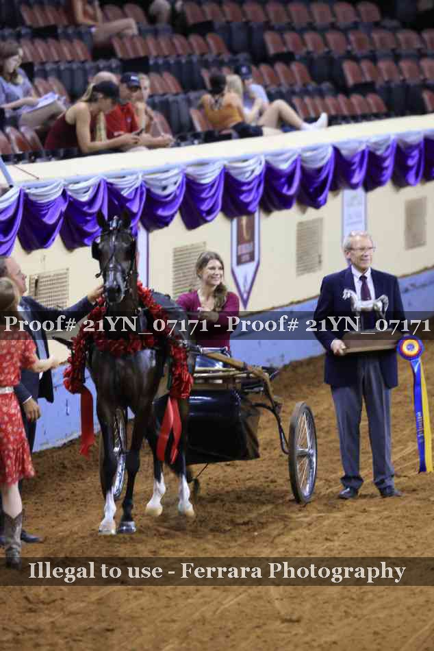 Proof 21YN_07171