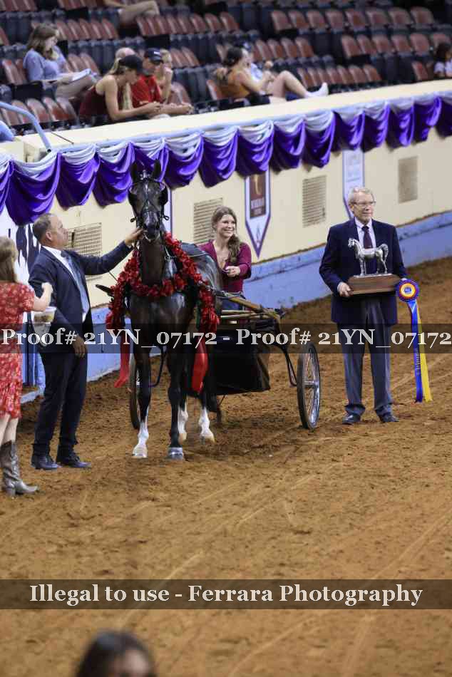 Proof 21YN_07172