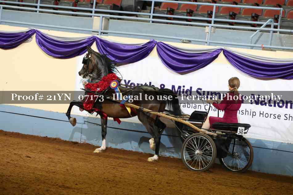 Proof 21YN_07173