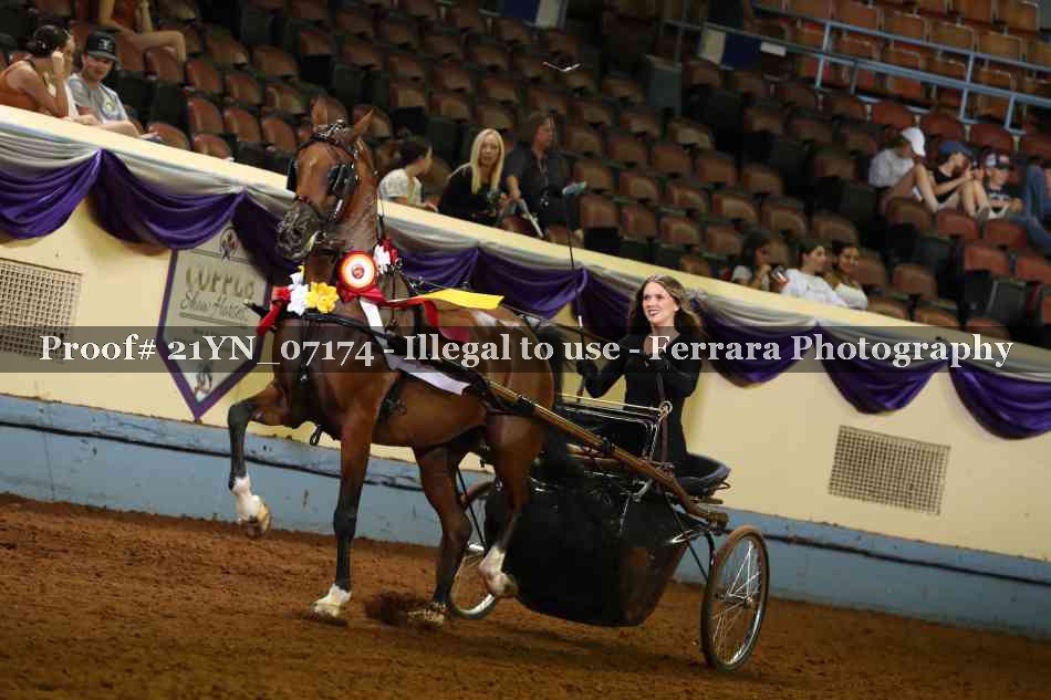 Proof 21YN_07174