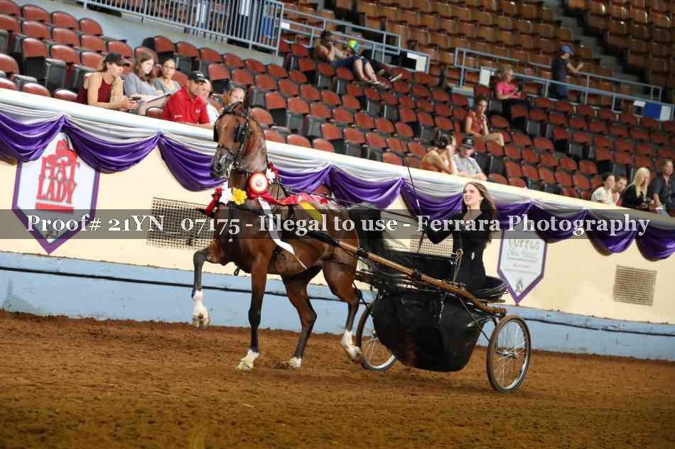 Proof 21YN_07175
