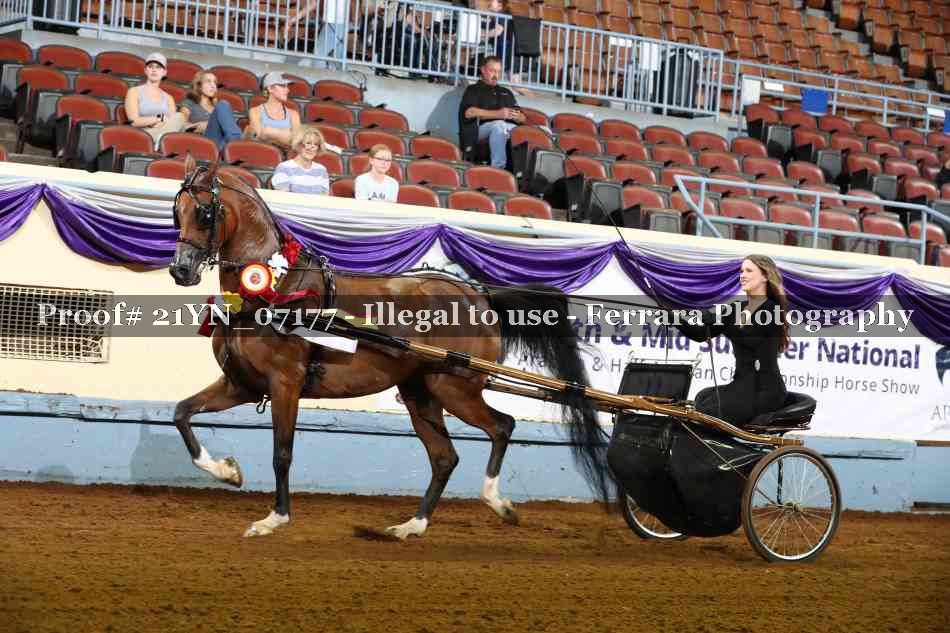 Proof 21YN_07177