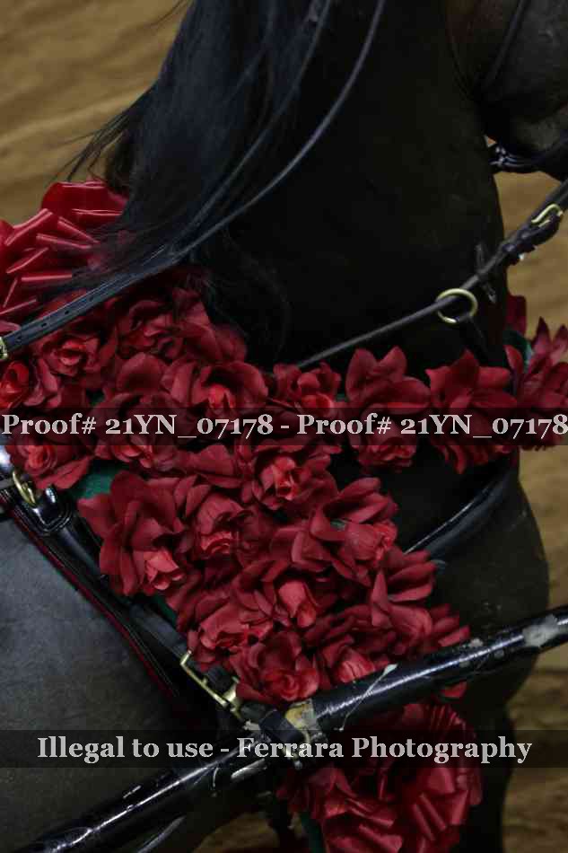Proof 21YN_07178