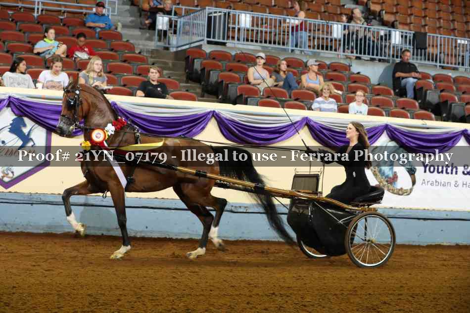 Proof 21YN_07179