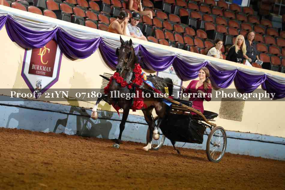 Proof 21YN_07180