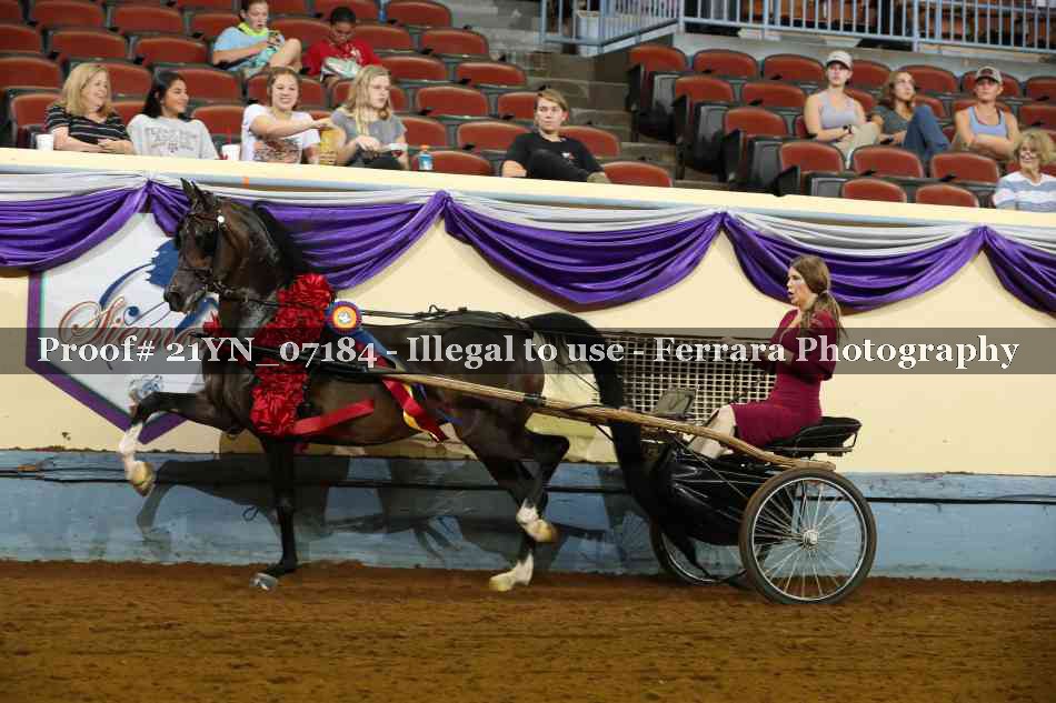 Proof 21YN_07184