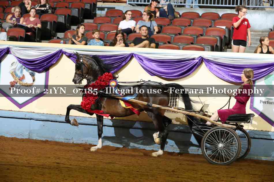 Proof 21YN_07185