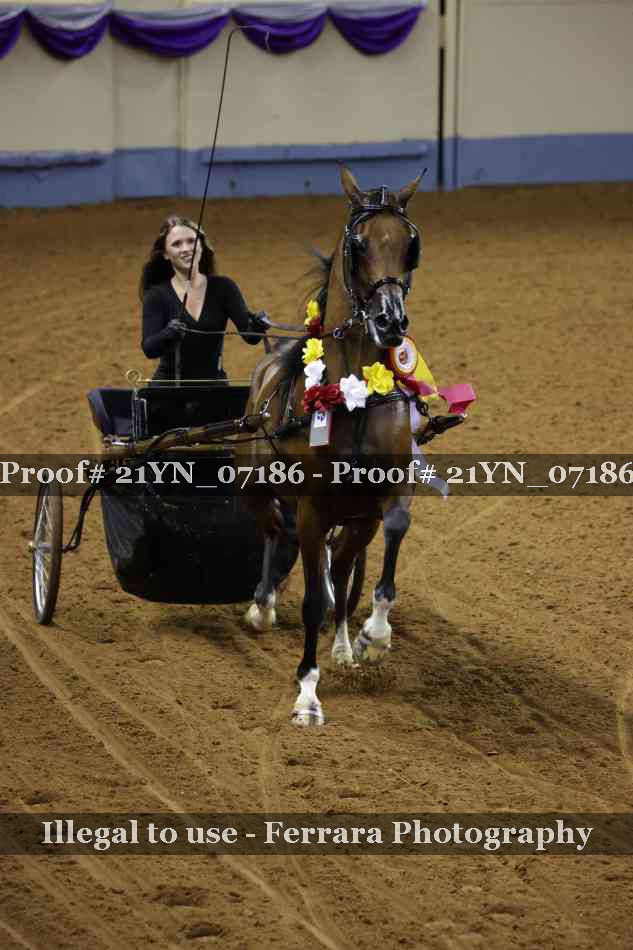 Proof 21YN_07186