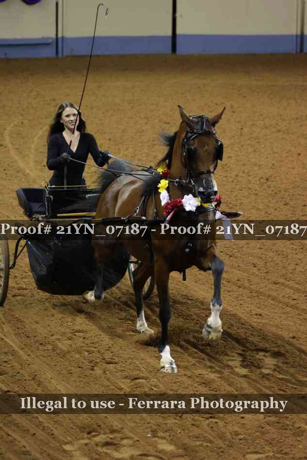 Proof 21YN_07187