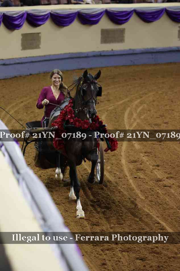 Proof 21YN_07189