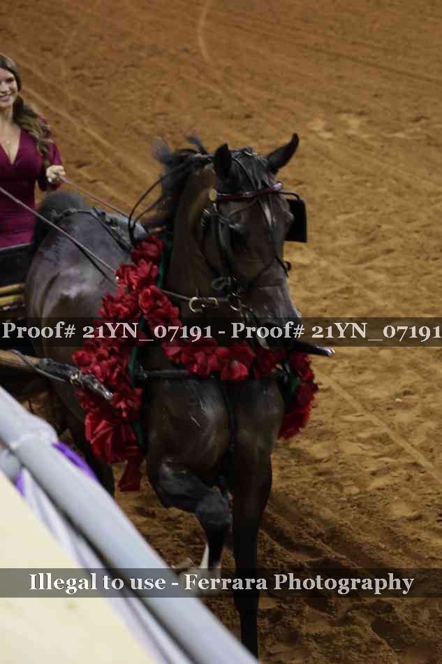 Proof 21YN_07191