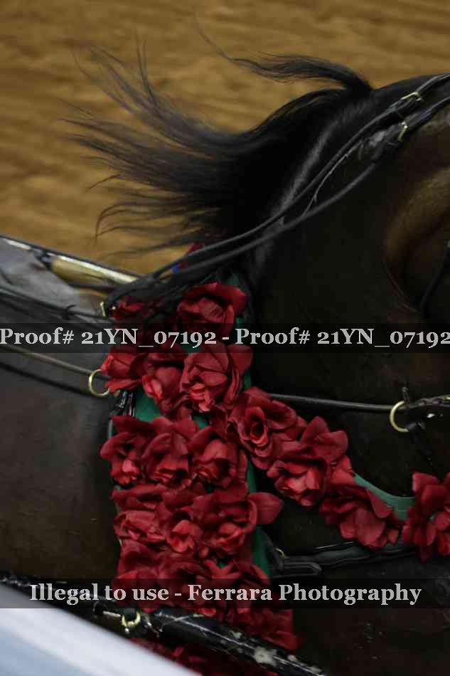 Proof 21YN_07192