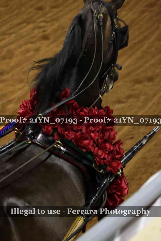 Proof 21YN_07193