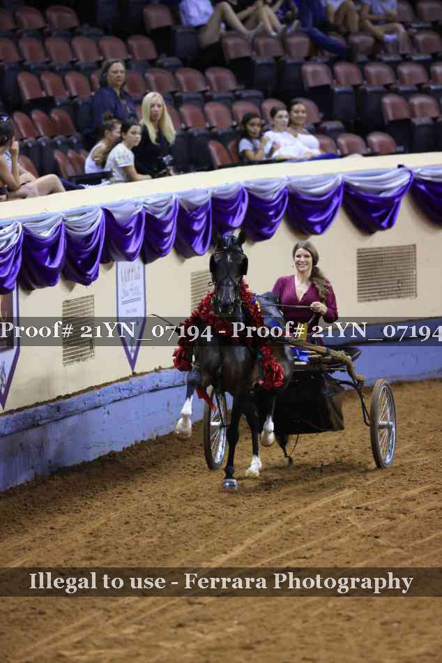 Proof 21YN_07194