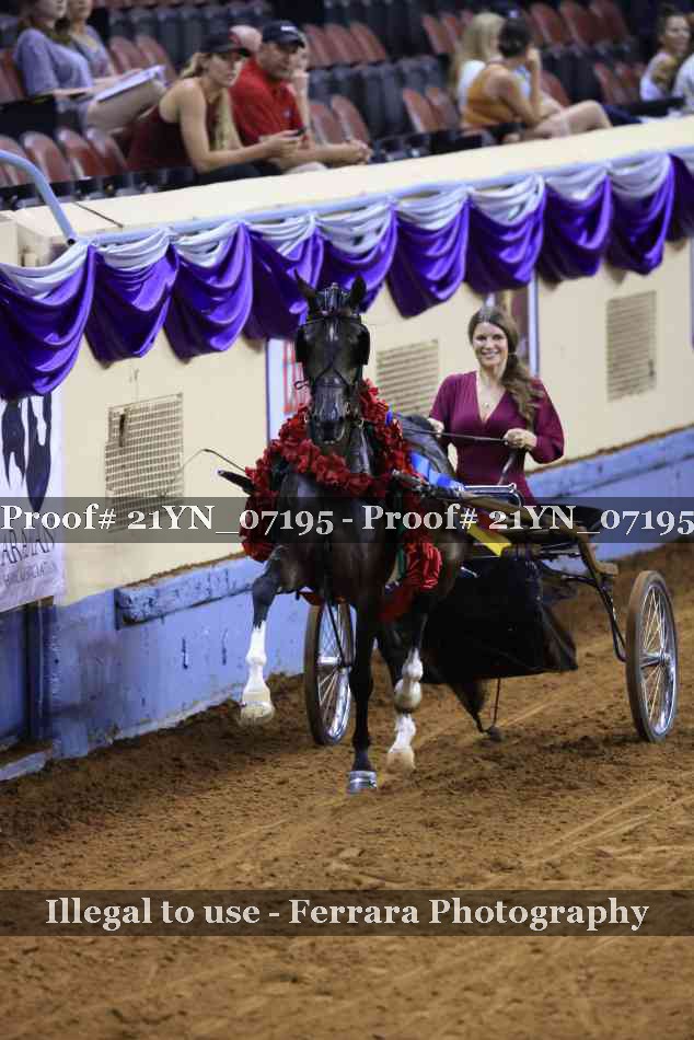Proof 21YN_07195