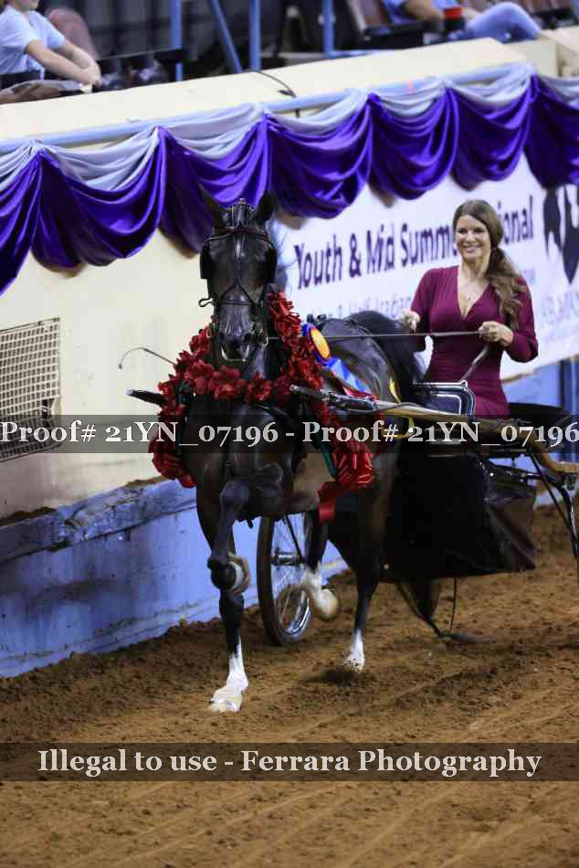 Proof 21YN_07196