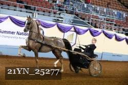 21YN_25277 proof
