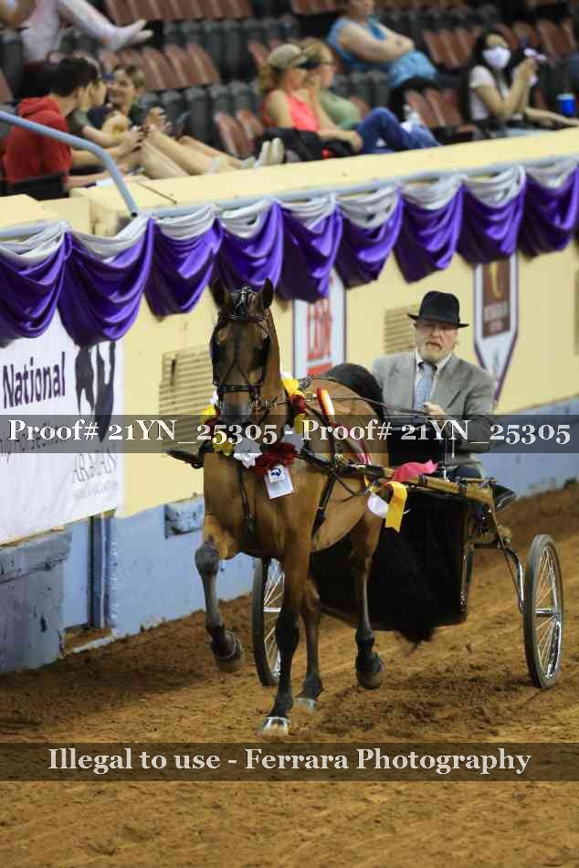 Proof 21YN_25305