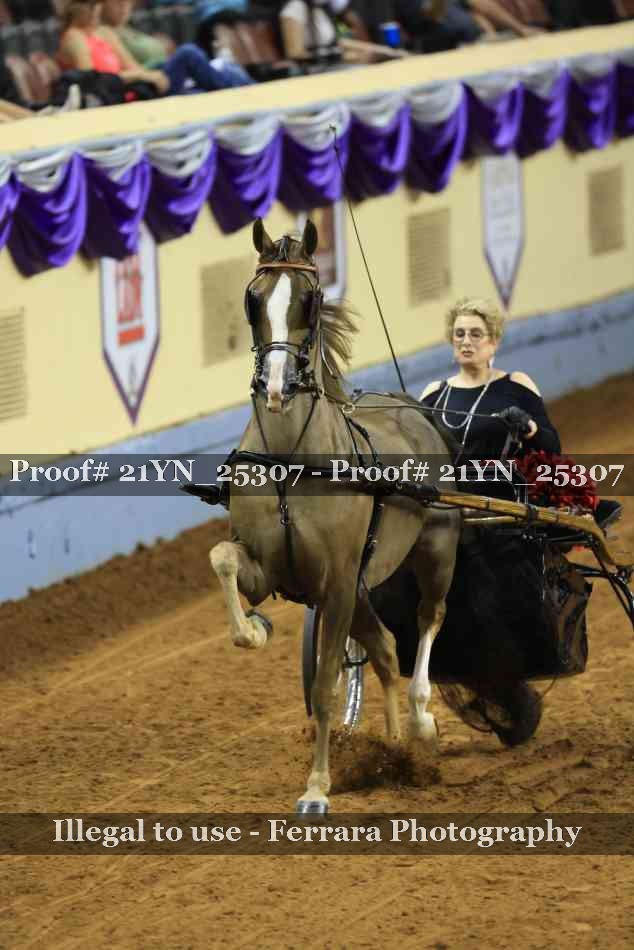 Proof 21YN_25307