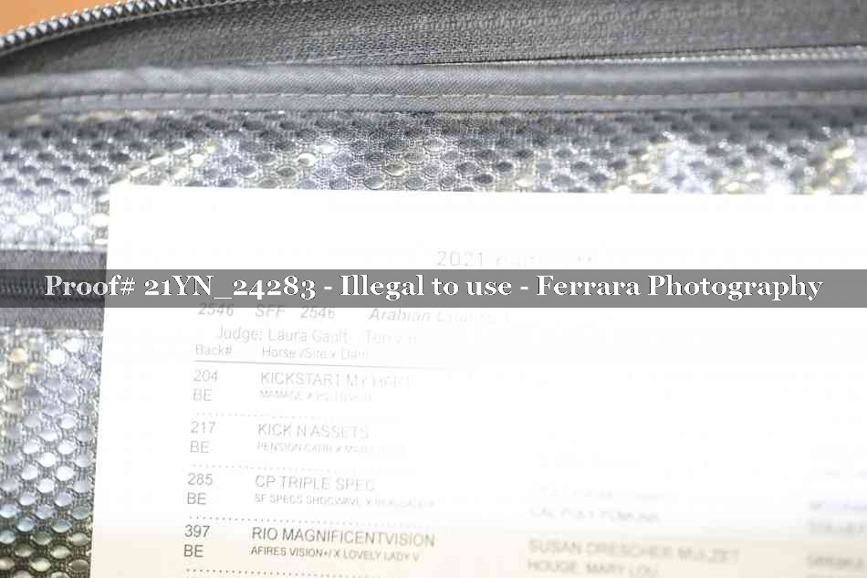 Proof 21YN_24283