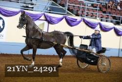 21YN_24291 proof