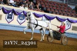 21YN_24301 proof