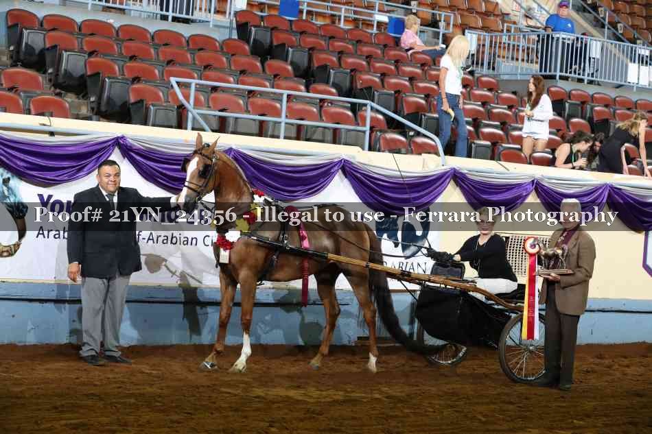 Proof 21YN_24356