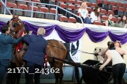 21YN_24362 proof