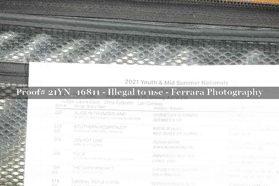 Proof 21YN_16811