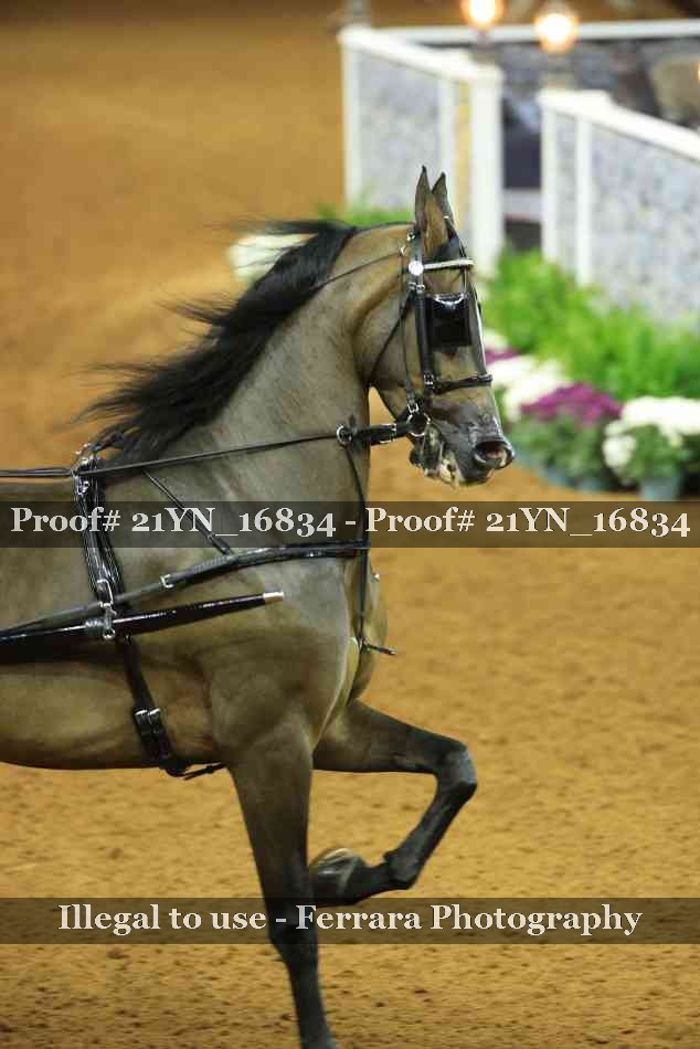 Proof 21YN_16834