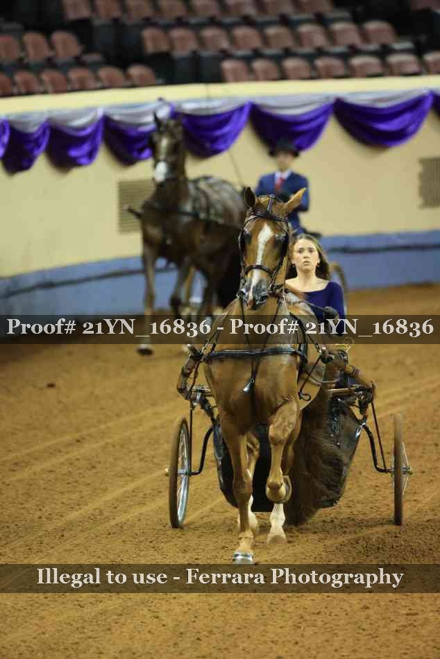 Proof 21YN_16836