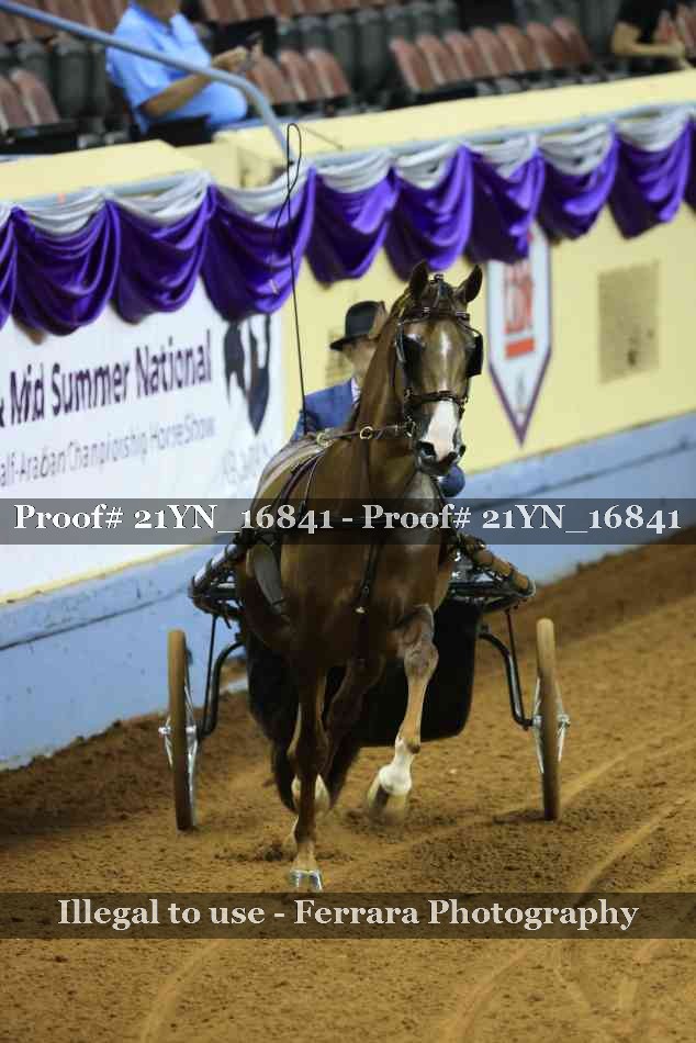 Proof 21YN_16841