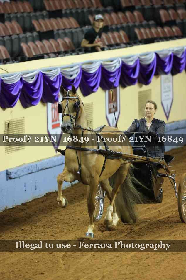 Proof 21YN_16849