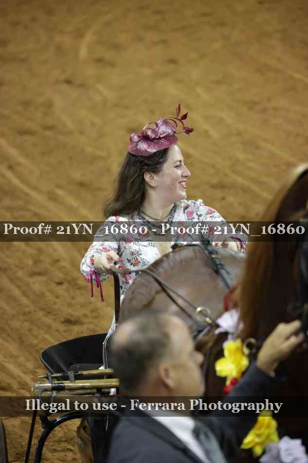 Proof 21YN_16860