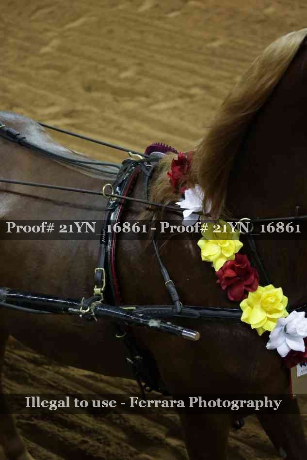 Proof 21YN_16861