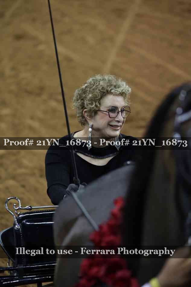 Proof 21YN_16873