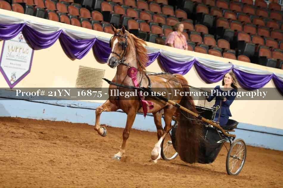Proof 21YN_16875