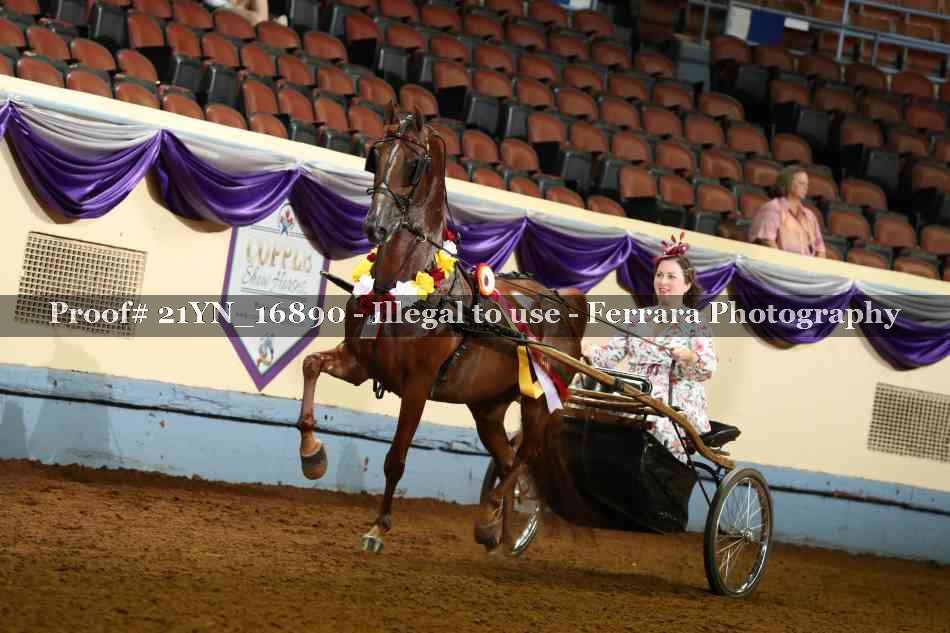 Proof 21YN_16890
