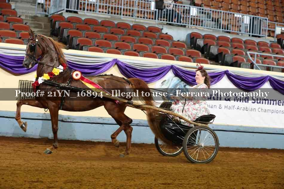 Proof 21YN_16894