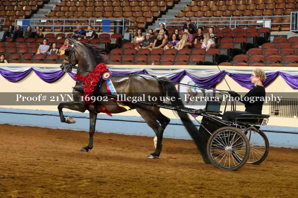 Proof 21YN_16902