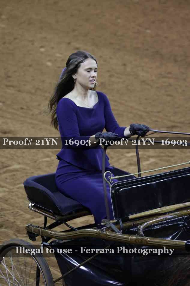 Proof 21YN_16903