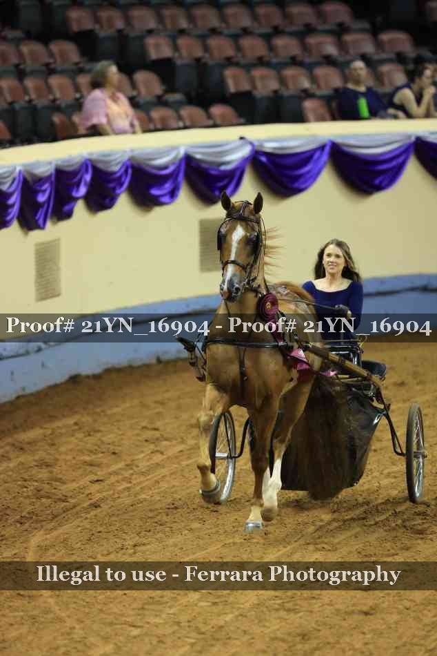 Proof 21YN_16904