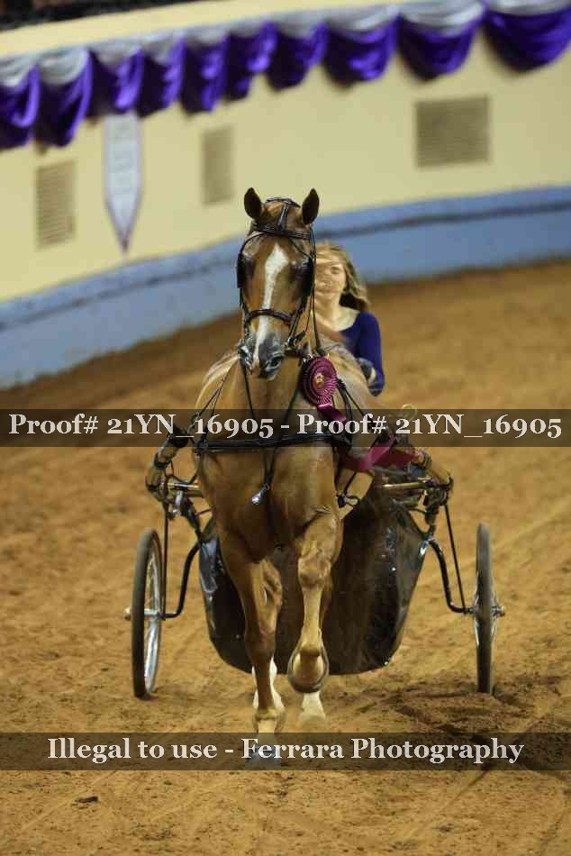 Proof 21YN_16905