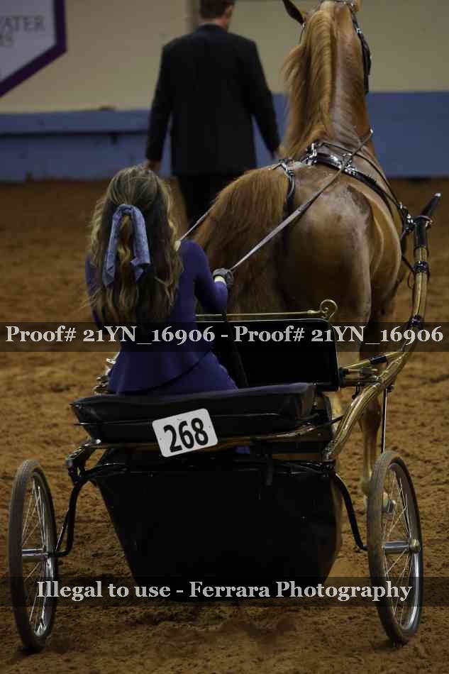 Proof 21YN_16906