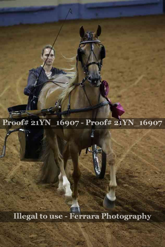 Proof 21YN_16907